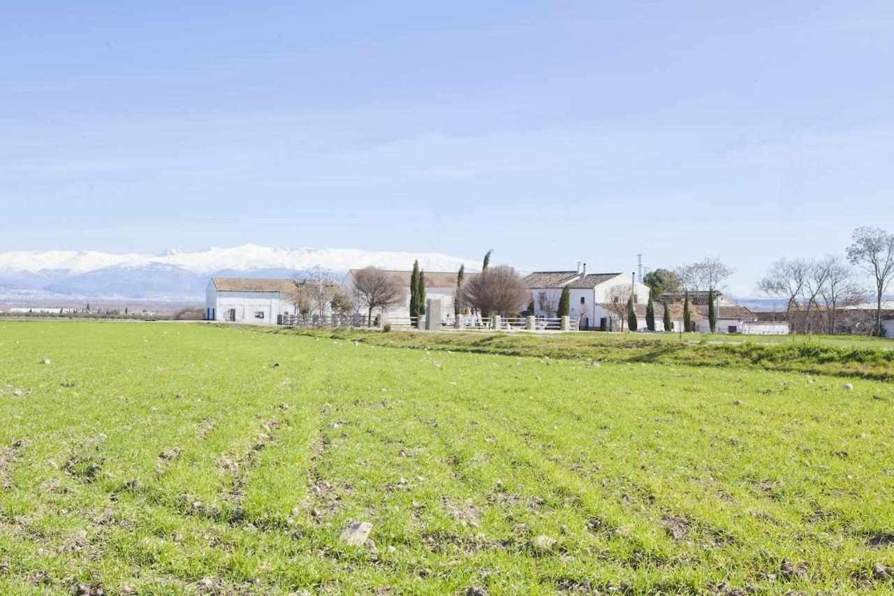 Alojamiento El Cortijuelo Escoznar Exterior photo